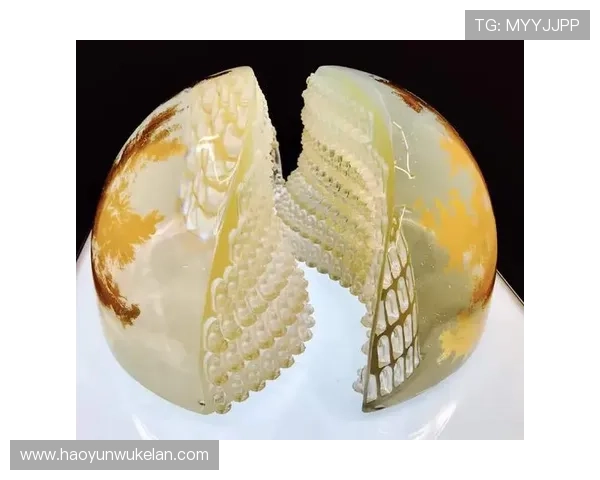 尊龙凯时人生就是搏网址：打造坚韧不拔的精神力量实现人生的全面突破