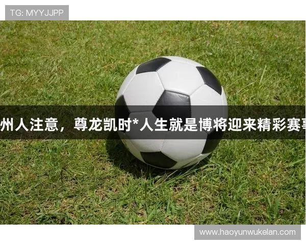 探索尊龙凯时官方下载最新版的玩法与技巧分享