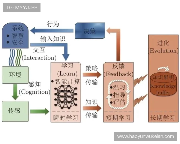 凯时国际平台全面解析如何选择安全可靠的线上娱乐平台确保您的资金安全与游戏体验提升