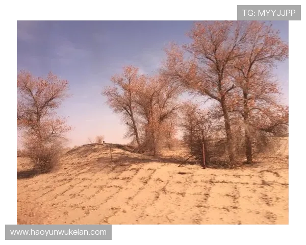 在d8娱乐官网进行充值提现的详细流程与安全保障措施介绍