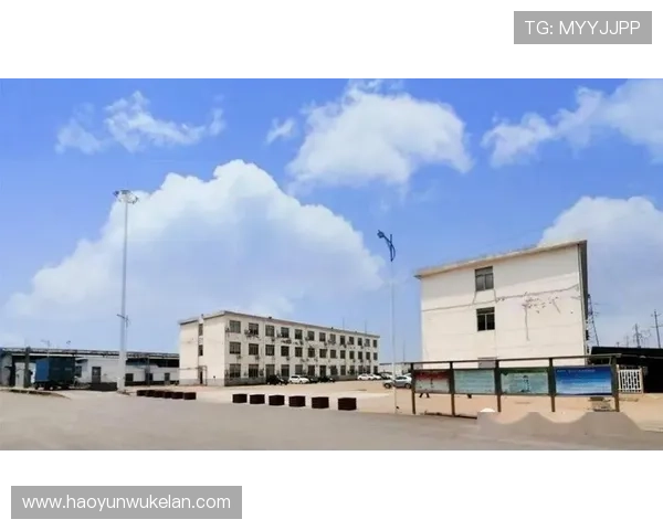 龙8国际唯一官网严格遵守行业规范，确保每一位玩家的公平公正体验