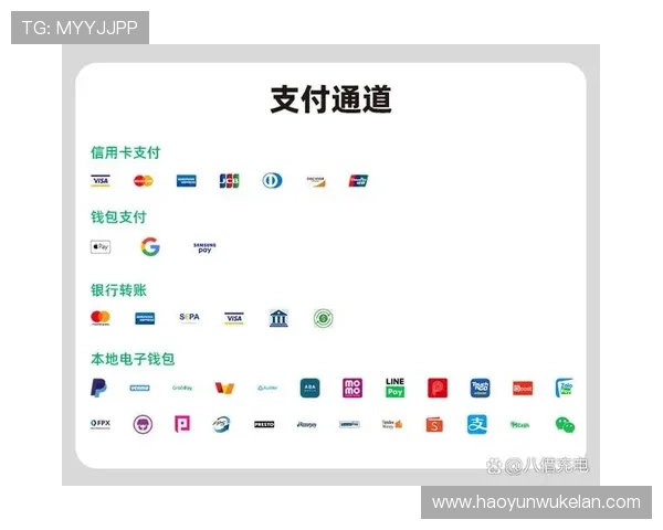 尊龙人生就是博登录国际提供多样化的支付方式满足不同用户需求